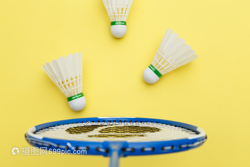 数篮球迷心 数篮球迷心